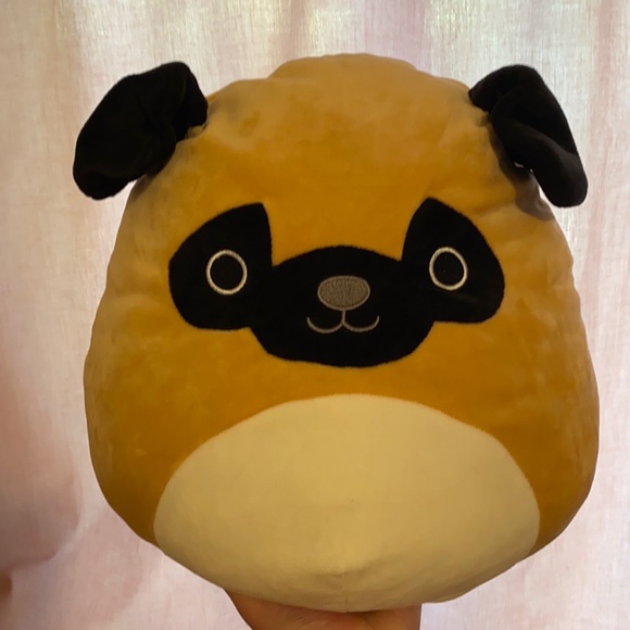 Squishmallows Other - Pug squishmallow! Brand new!